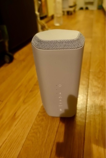 SONY SRS XE300