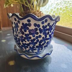 陶器の鉢
