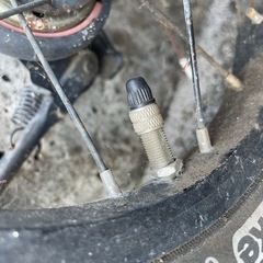 D-BIKE（キックバイク）3歳前後？の画像