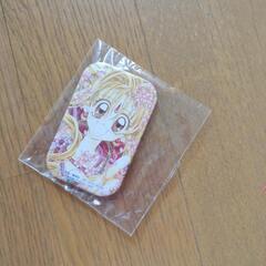 非売品】種村有菜 ビニールバッグ