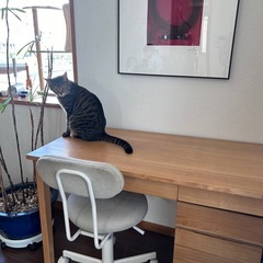 無印デスクセット一式の画像