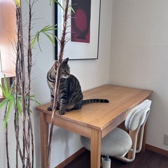 無印デスクセット一式の画像