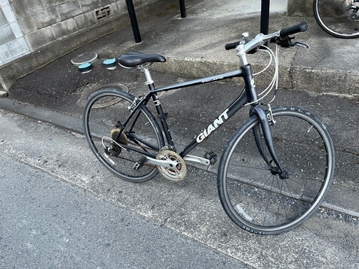 ジャイアントエスケープr3  Mサイズ