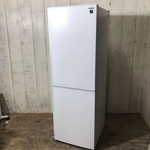 美品 SHARP シャープ ノンフロン冷凍冷蔵庫 SJ-PD31J-W 310L 23年製 動作品 24i菊DO