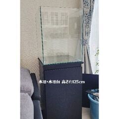 キュブガラス水槽と水槽台セット