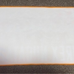 アルビレックス新潟 2023   タオルの画像