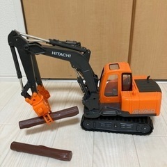 アスタコ(35cmくらい)