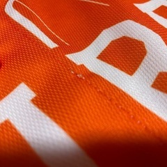 アルビレックス新潟 ベースボールシャツの画像