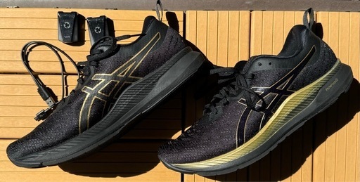 シューズがコーチになる！　ASICS EVORIDE ORPHE 27cm