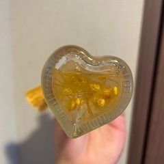 飾り付きハーバーリウムの画像