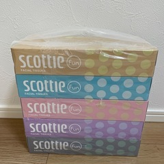 ティッシュ　箱　