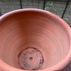 テラコッタ　植木鉢の画像