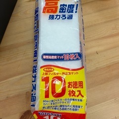 水槽飼育いろいろの画像