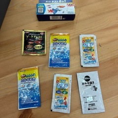 水槽飼育いろいろの画像