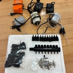 水槽飼育いろいろの画像