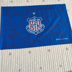 ヴァンフォーレ甲府　旗の画像