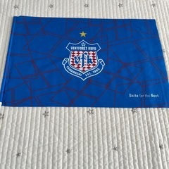 ヴァンフォーレ甲府　旗4本セットの画像