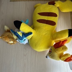 ポケモン　ピカチュウ　イーブイ　シャワーズ　の画像
