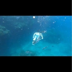 2024.  10/23〜10/28   【10/14時点 4名】沖縄 シュノーケル − 沖縄県