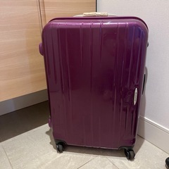 Proteca プロテカ スタリア スーツケース