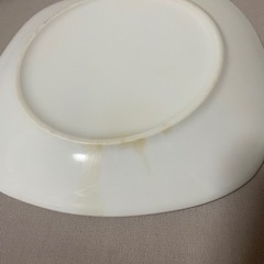 平皿　10枚の画像