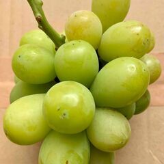ぶどう シャインマスカット（379g）訳あり 