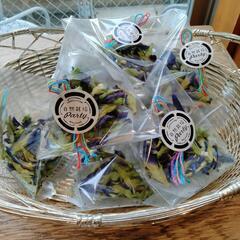 魅惑の青色ハーブ！バタフライピーの画像