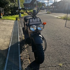 ホンダ　ズーマー　の画像