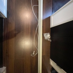 ニトリ　緑調光ロールスクリーン