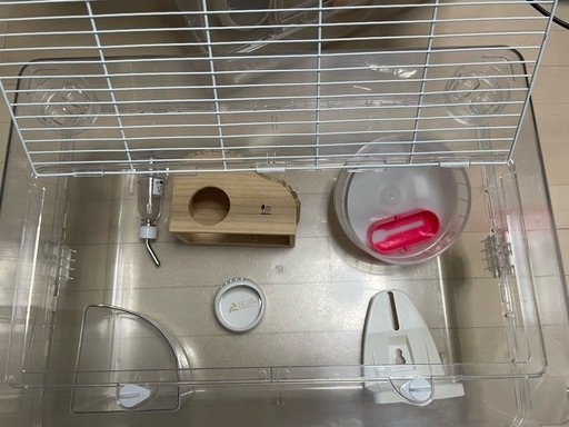 ハムスター(ゴールデン推奨)用ルーミィ60＋飼育必需品セット