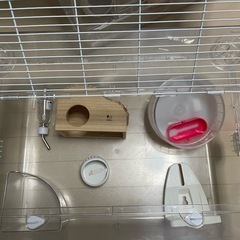 ハムスター(ゴールデン推奨)用ルーミィ60＋飼育必需品セットの画像