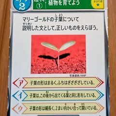 進研ゼミ小学講座３年生　おさらいクリアカードの画像