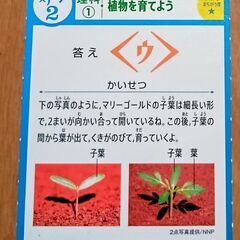 進研ゼミ小学講座３年生　おさらいクリアカードの画像