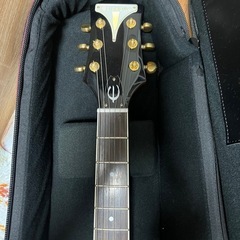 epiphone WILDKAT KOAの画像