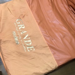 ご購入予定者様決定済み　★高級介護ベッド★モルテン　エアマット　グランデ　塗装はげありの画像