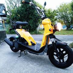 ホンダ★AF59バイト★ズーマー兄弟車★足車に最適★軽い★実働★...