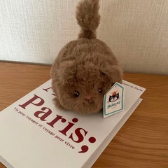 Kitten Caboodleの画像