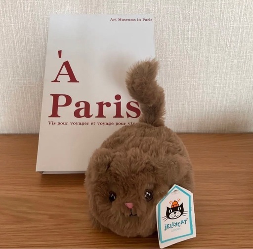 おもちゃ Kitten Caboodle