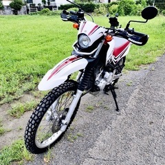 ヤマハ⭐️セロー250⭐️インジェクションの画像