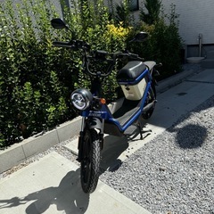 GOCCIA GEV600 EVバイク50cc サブバッテリー付きの画像