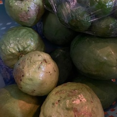 バンシルー⭐︎シークヮーサー