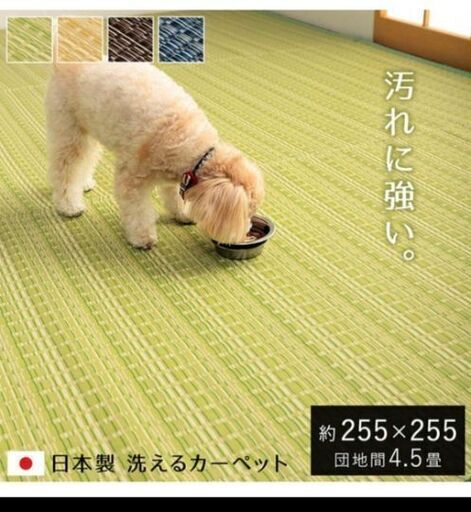 日本製い草風カーペットラグ