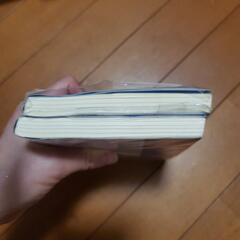 呪術回線　逝く夏と還る秋　夜明けのいばら道　２冊セットの画像