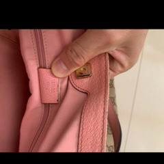 GUCCIバグの画像