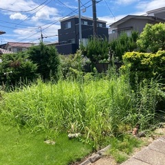 お庭の草、木でお困りではございませんか？