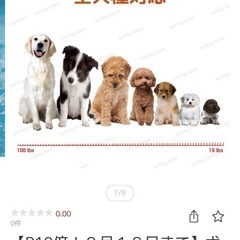 値下げ、無駄吠え防止器具ですの画像