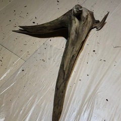 【お譲りします！】天然流木①
