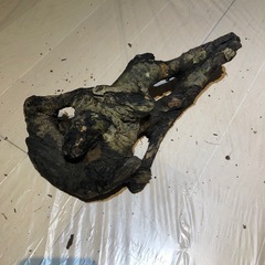 【お譲りします！】天然流木⑦