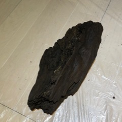 【お譲りします！】天然流木⑪の画像