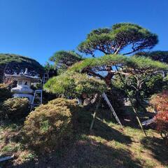造園業さんへ